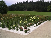 Walter 08.07.08-02.01.200968